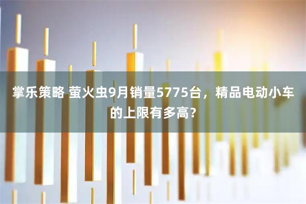 掌乐策略 萤火虫9月销量5775台，精品电动小车的上限有多高？