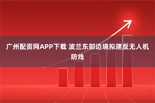 广州配资网APP下载 波兰东部边境拟建反无人机防线