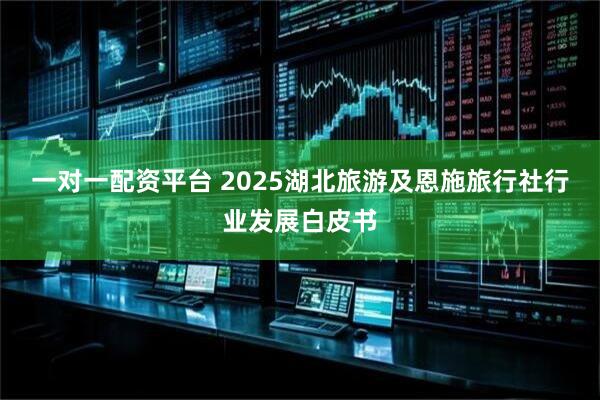 一对一配资平台 2025湖北旅游及恩施旅行社行业发展白皮书